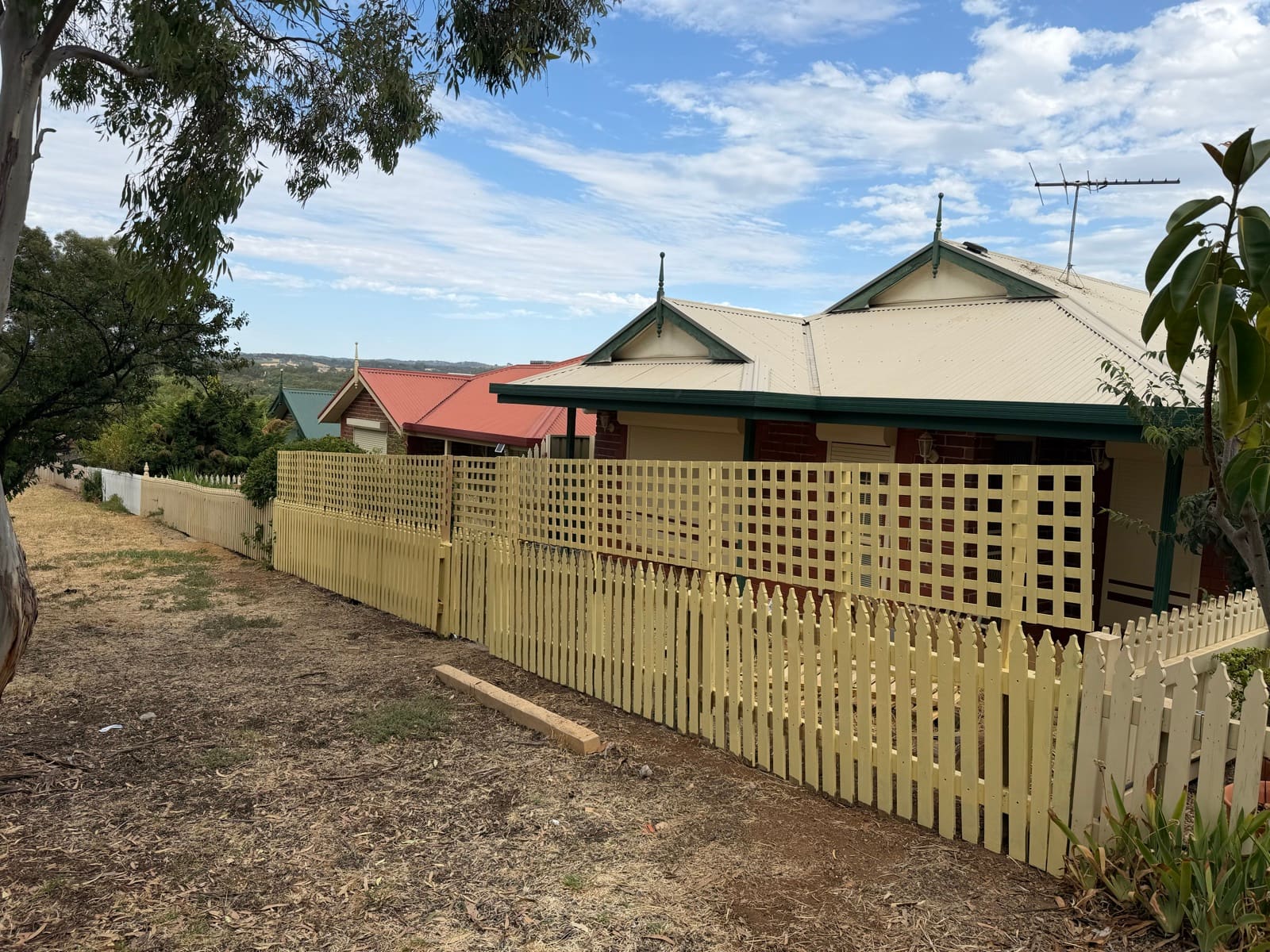 Cream timber picket fence with square lattice privacy extension at a suburban Adelaide property